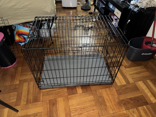Large folding dog - , with