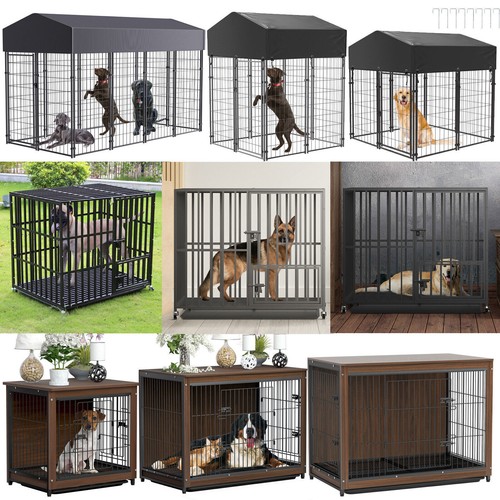 Strong dog cage puppy animal - cage,