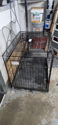 Pet crates for dogs - pet,