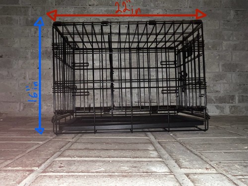Look puppy dog - look!!, crate