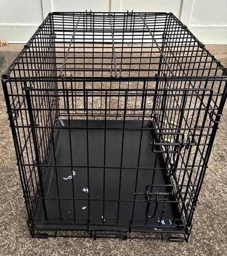 All sized dog pet - pet,
