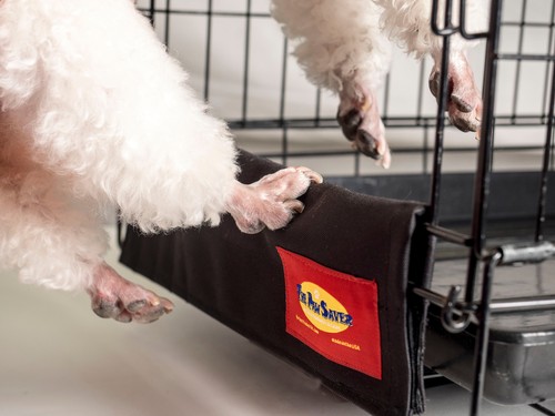 The paw saver dog - the,