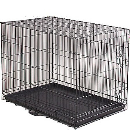 Economy dog crate medium - economy,