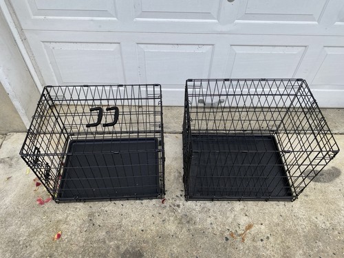 Look two puppy dog crates - look!!,