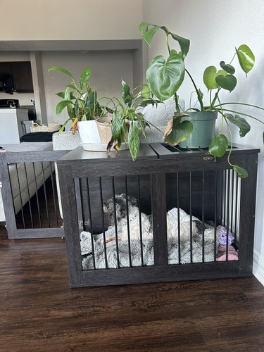 Dog crates for two - crates,